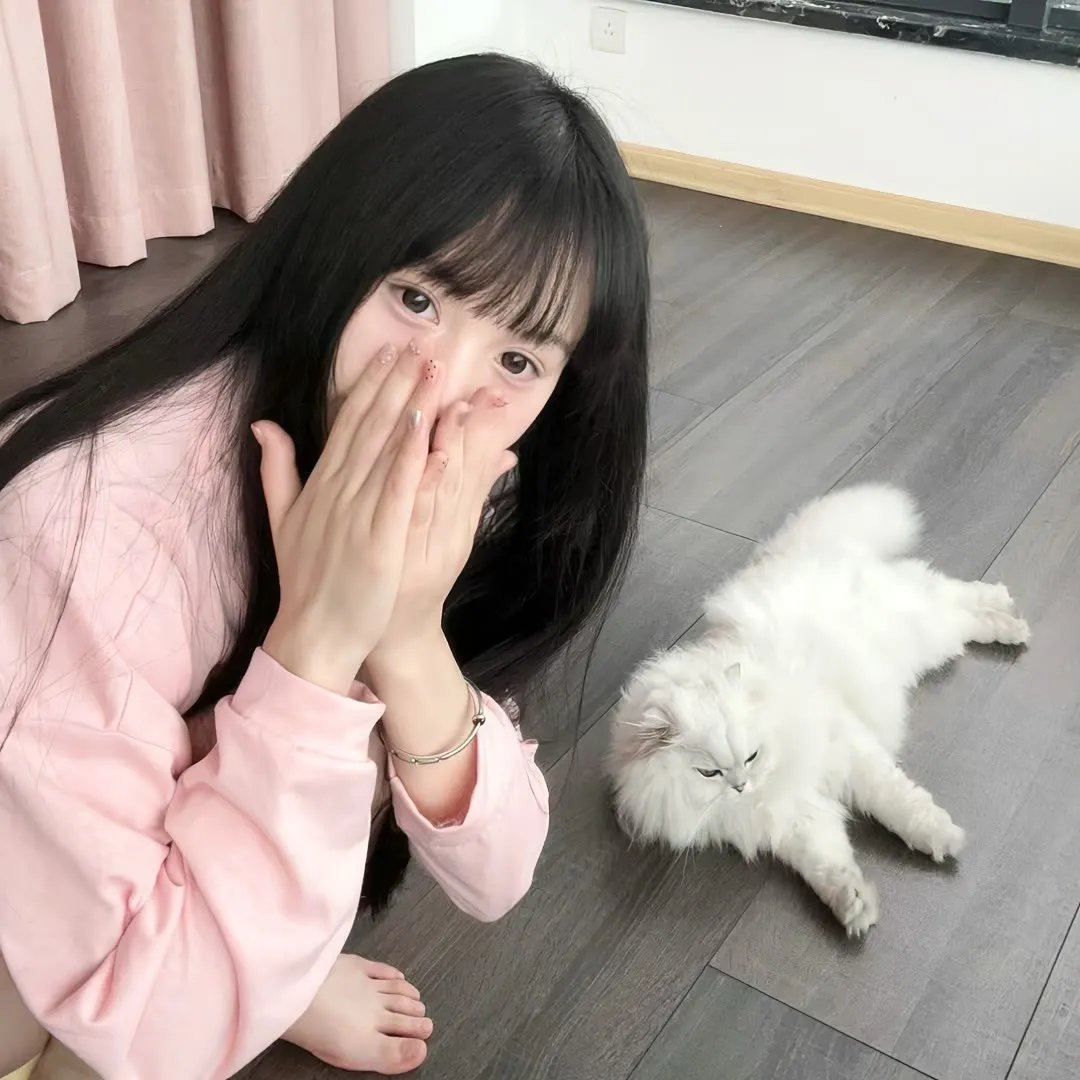 81号农场之保卫麦咭海报