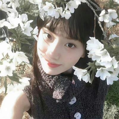 草图海报