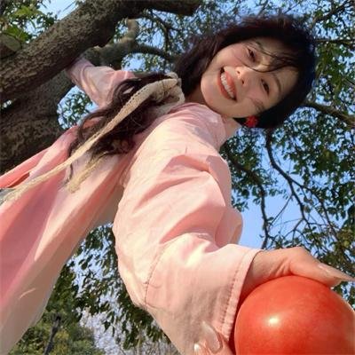 妙探双龙海报