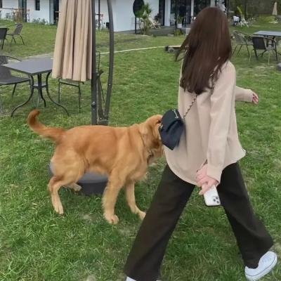 精灵小王子海报